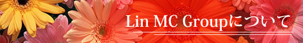 Lin MC Group Co.,Ltd.について